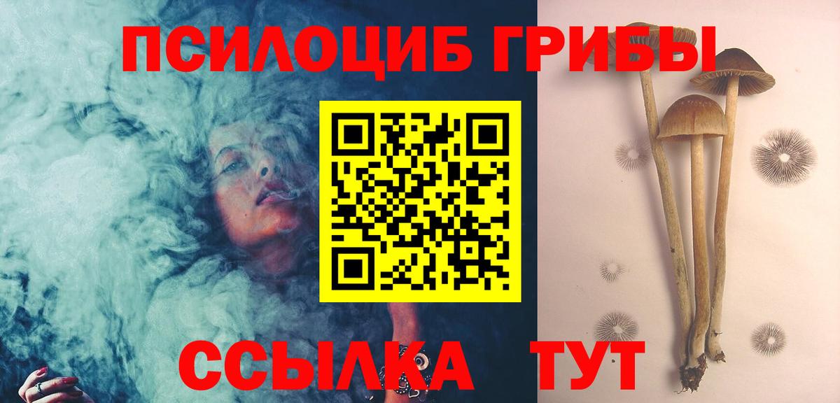 Гулькевичи  Псилоцибиновые грибы Psilocybe  Вход с VPN 